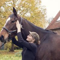 ORL chez le cheval