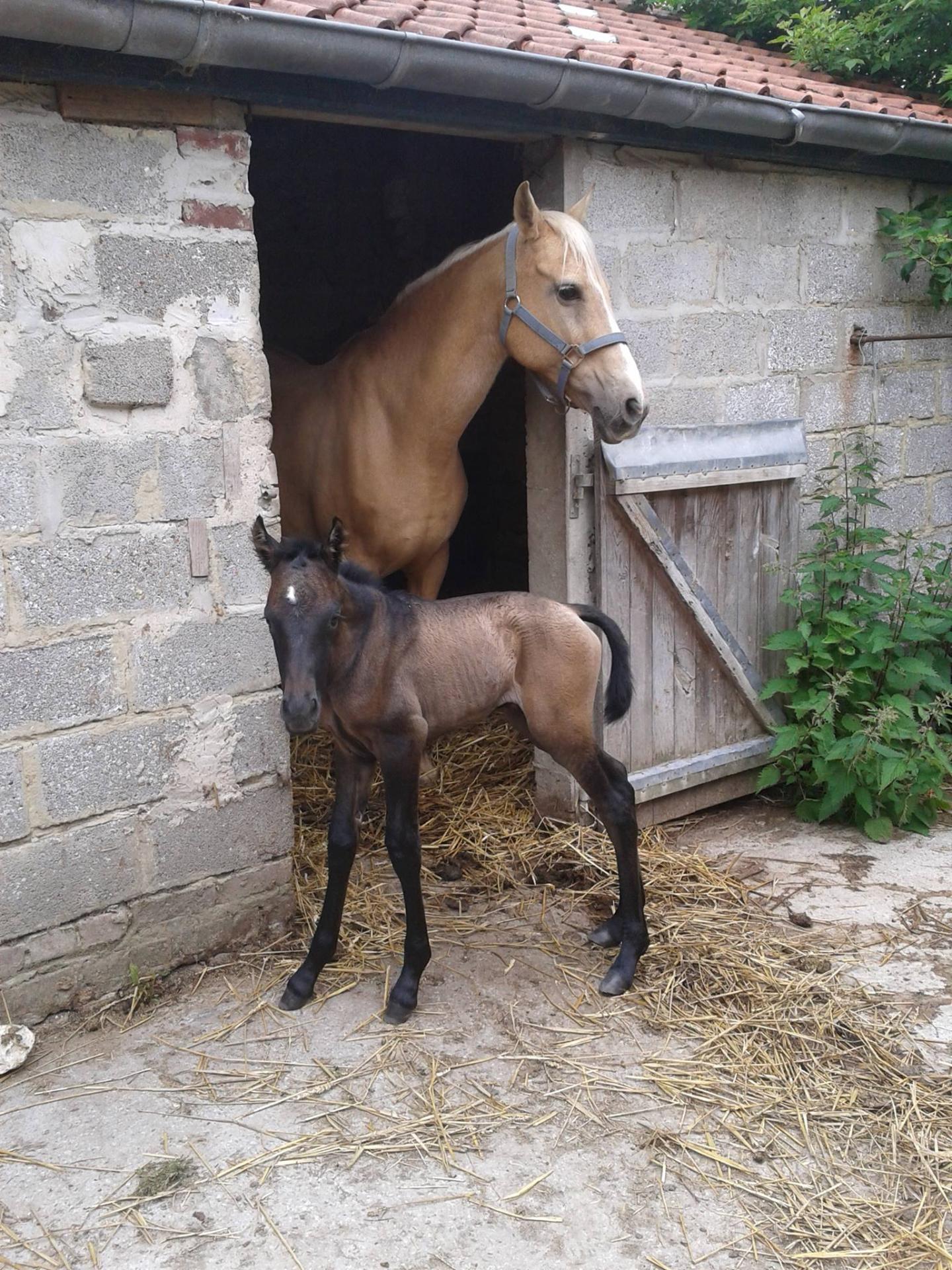 Dame bébé (et Kara)